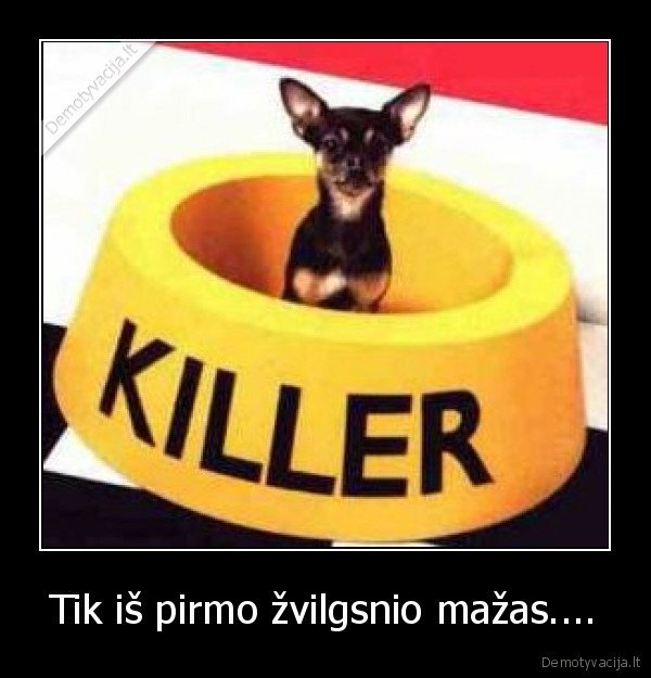 Tik iš pirmo žvilgsnio mažas....