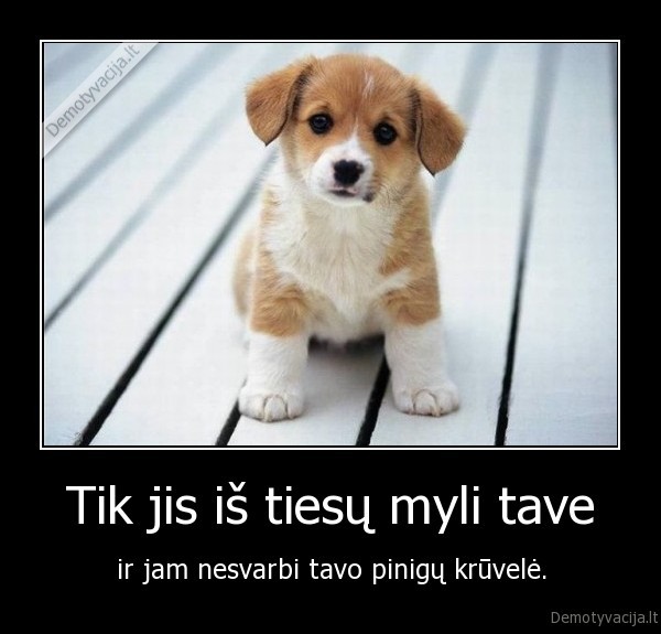 Tik jis iš tiesų myli tave