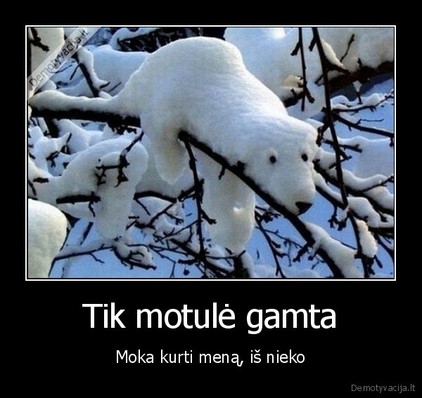 sniegas,gamta
