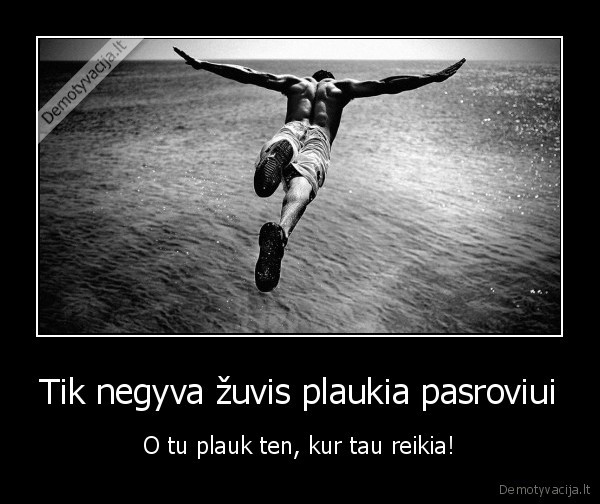 zuvis,motyvacija