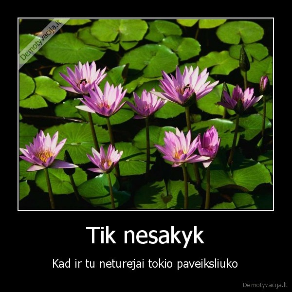 Tik nesakyk