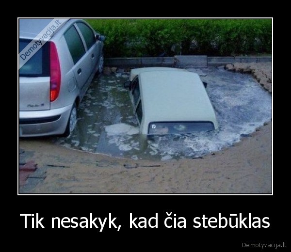 Tik nesakyk, kad čia stebūklas