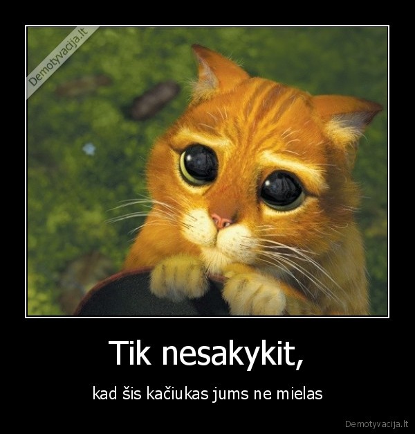 Tik nesakykit,