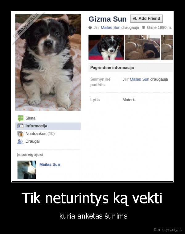 suo,su,suniu,draugauja,gi,jie,pasipisa,ir,issiskirsto,blet