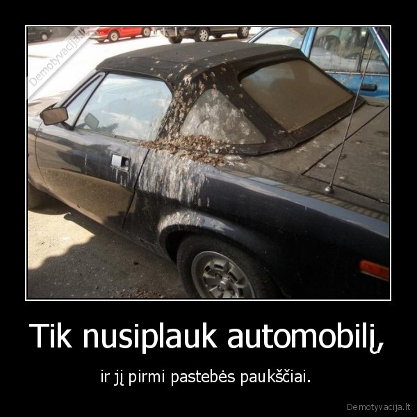 Tik nusiplauk automobilį,