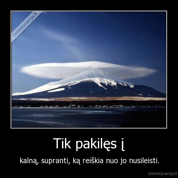 Tik pakilęs į