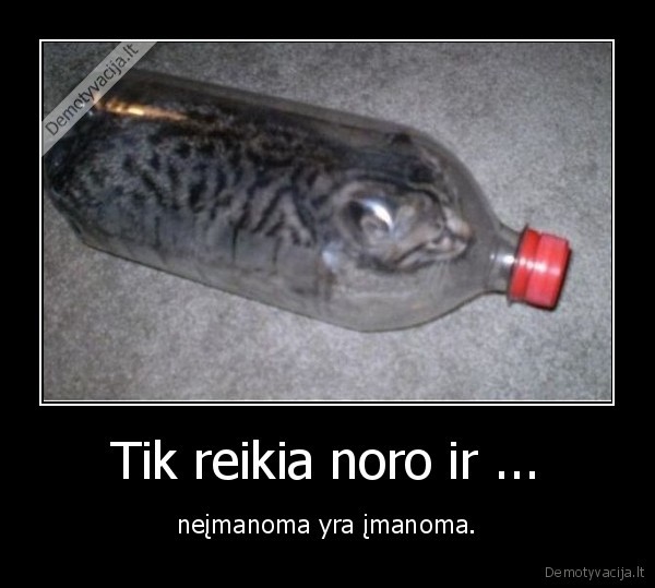 Tik reikia noro ir ...