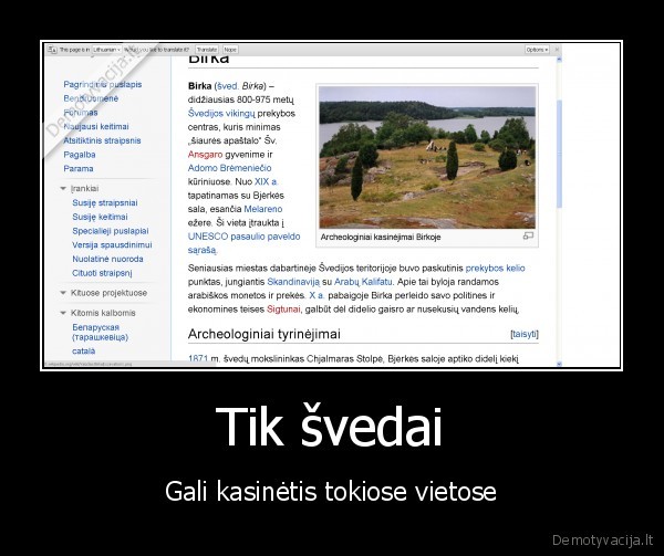 svedai, megsta, birka, nes, ten, vikingu, prekybos, centras, rimi, kartais, parduoda, sudus