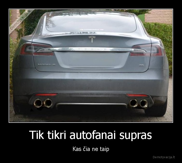 tesla, model, s,duslintuvai