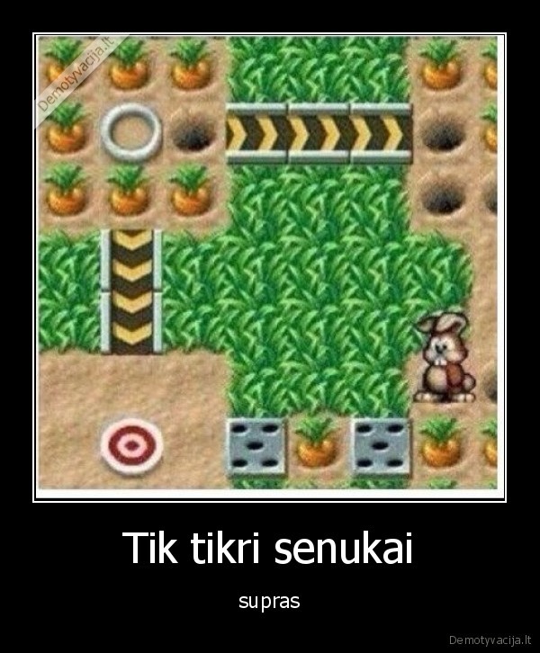 zaidimai,morkos