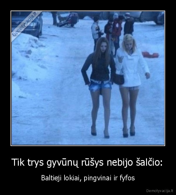 fyfos,saltis,pusnuoegs, mergos, ziema