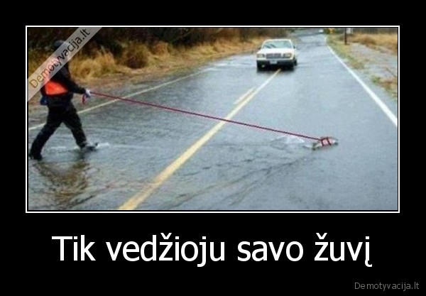 vedzioju,zuvy,kaip,suny