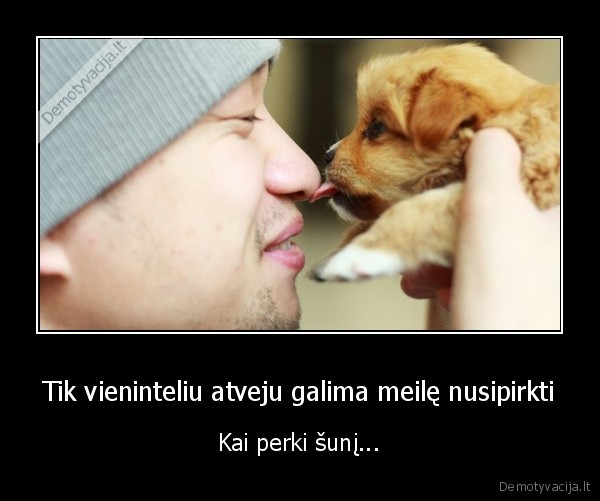 suo,mylintis, suo,perka, meile