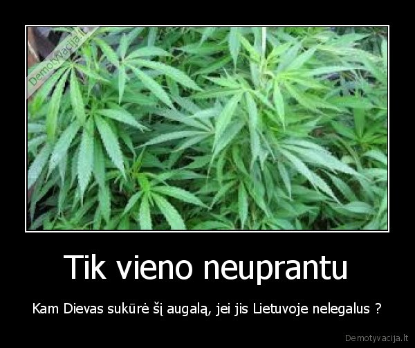 Tik vieno neuprantu