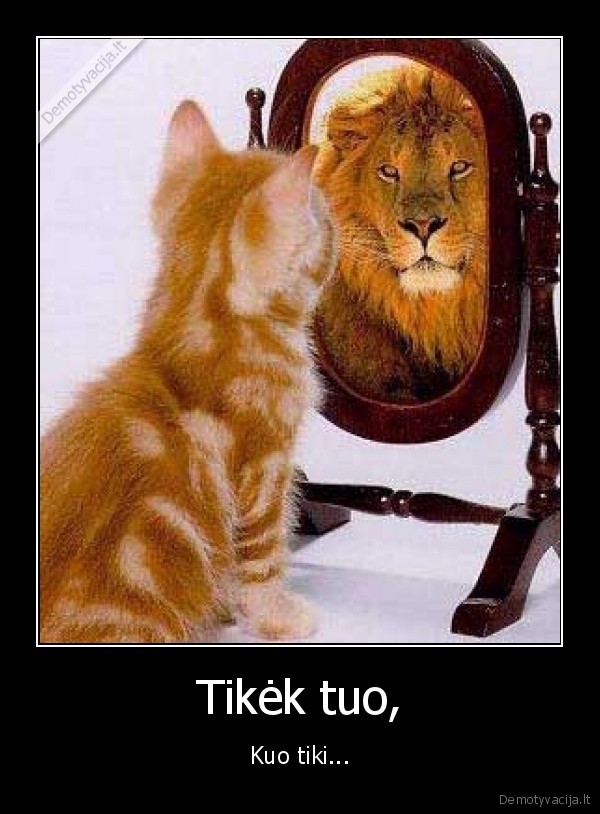 Tikėk tuo,