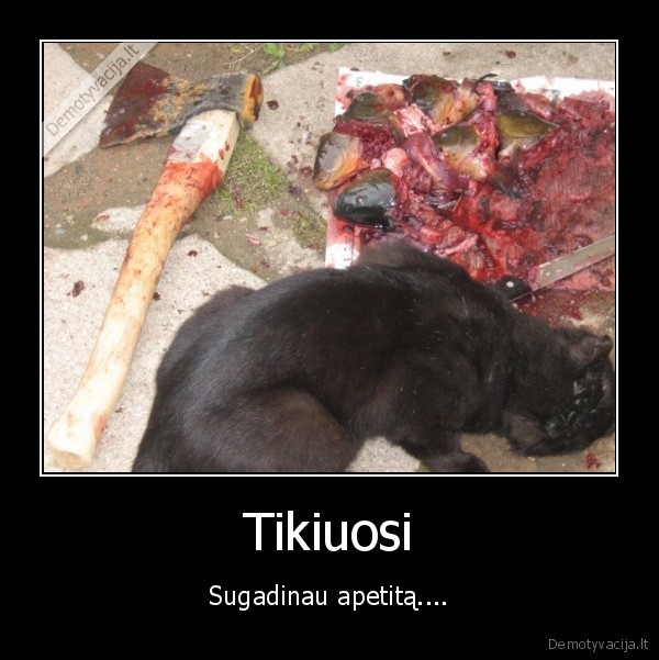 zuvis, galvos