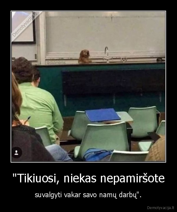 suo,namu, darbai