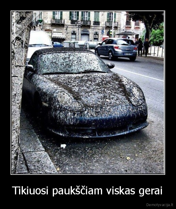 Tikiuosi paukščiam viskas gerai