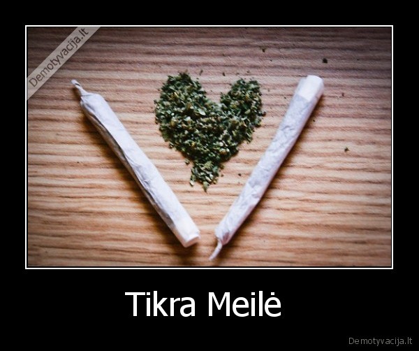 Tikra Meilė 