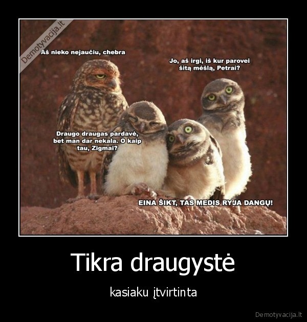 draugyste,kasiakas,tu, susuk,kasiaka,dideli, ar, maza