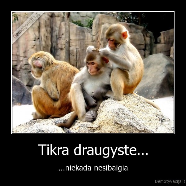 draugyste