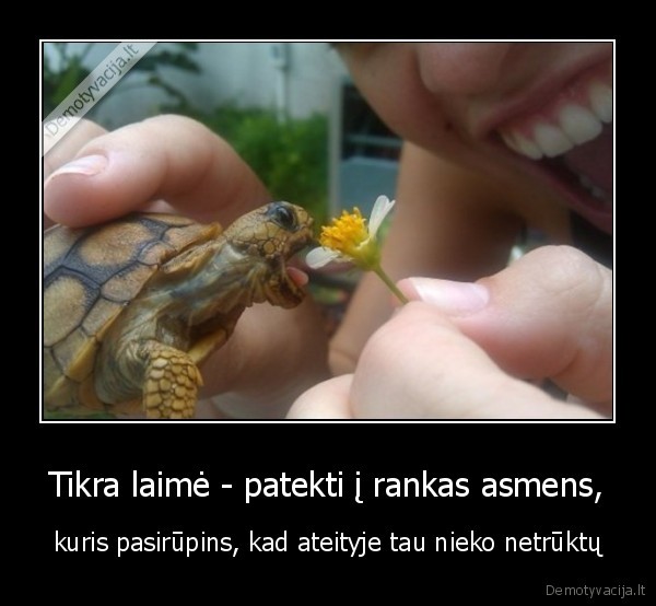 laime