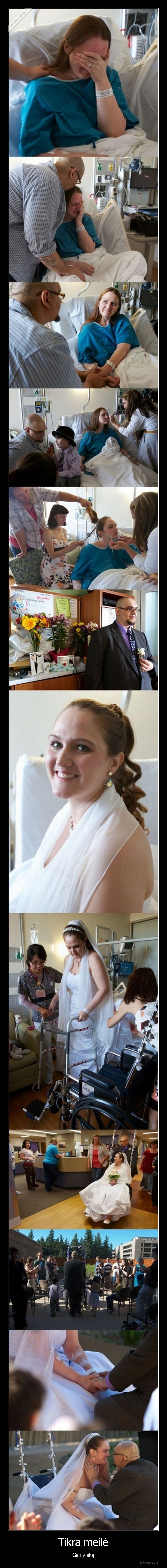 Tikra meilė