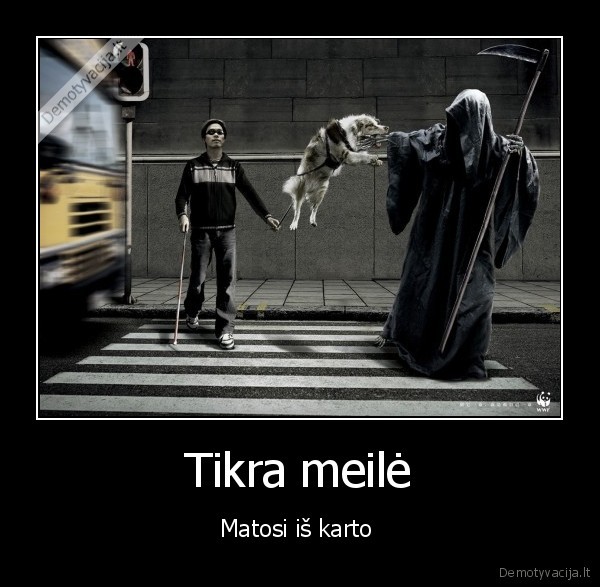 meile,gyvunas,suo,zmogus,zmogus