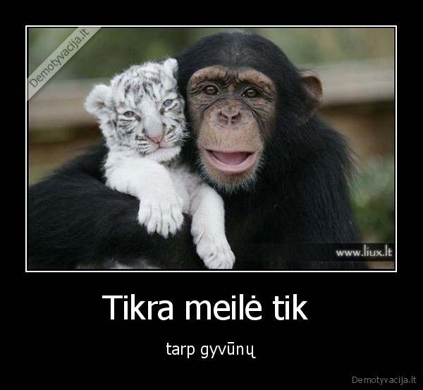 Tikra meilė tik 
