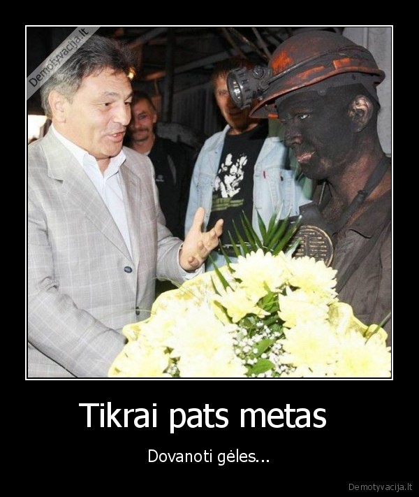 geles,darbas,darbuotuojas,sachtininkas,sachta