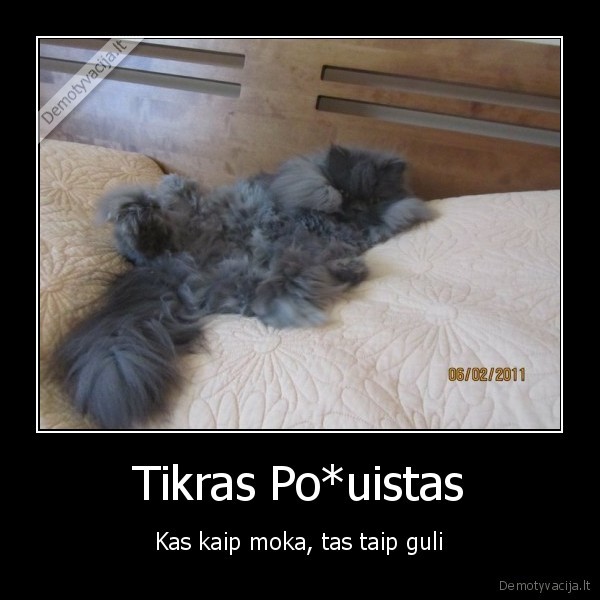 Tikras Po*uistas