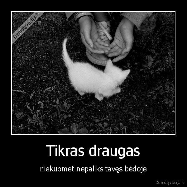 Tikras draugas