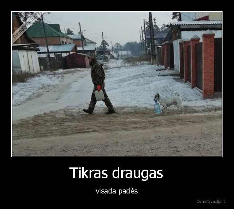 draugyste,suo,padeda