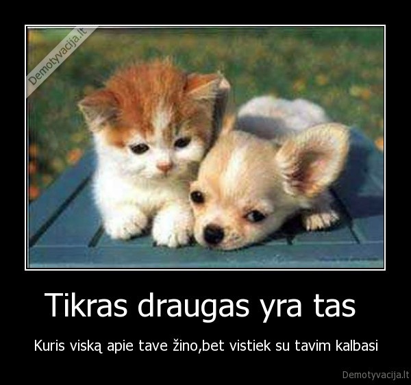 draugas