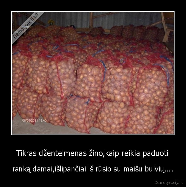 bulves, mergina, ir, tt