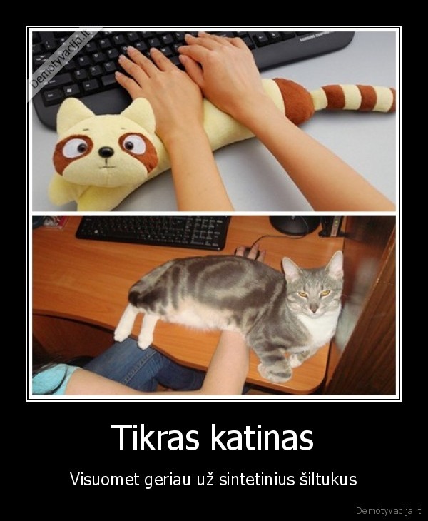 myliu, savo, katina