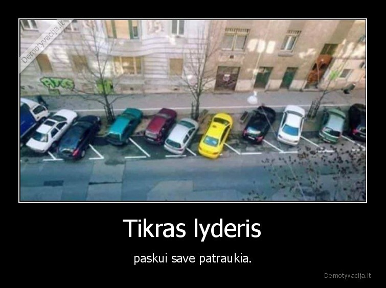 masina,parkavimas,lyderis