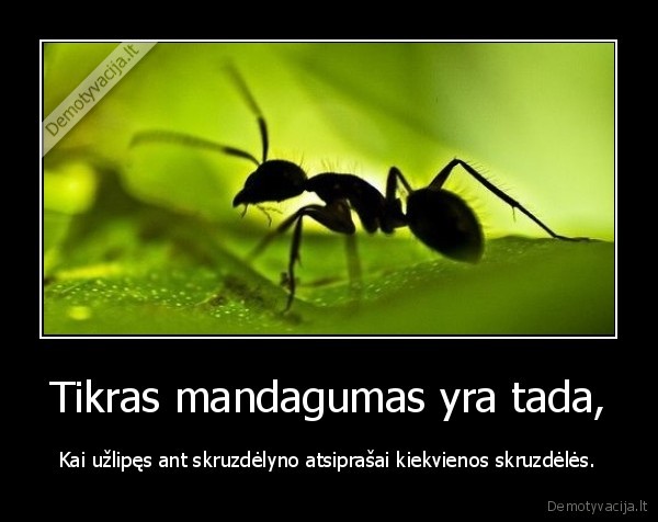 Tikras mandagumas yra tada,