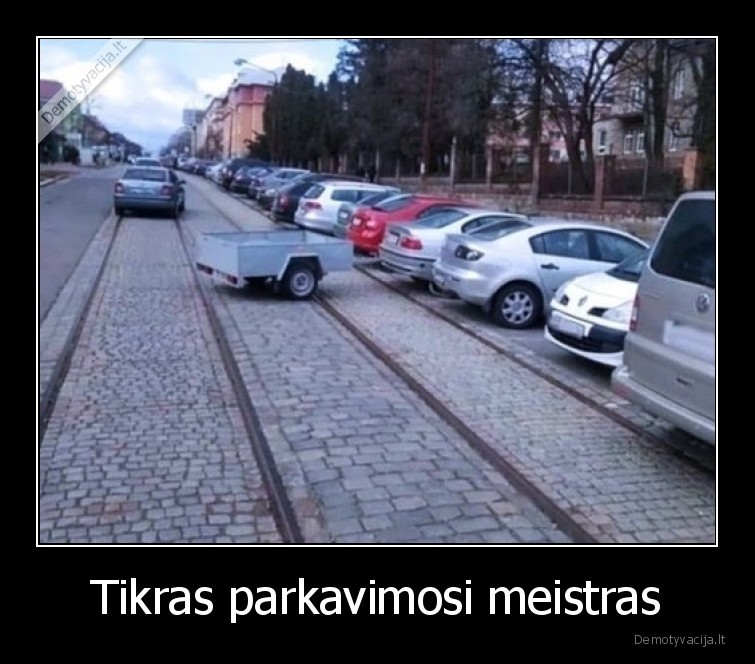 parkavimas,meistras