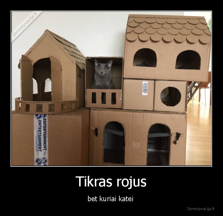 rojus,deze,kate,katinas