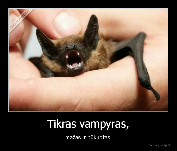 pukuotas,vampyras,skraido