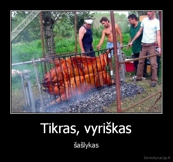 vyriskas,kiaule