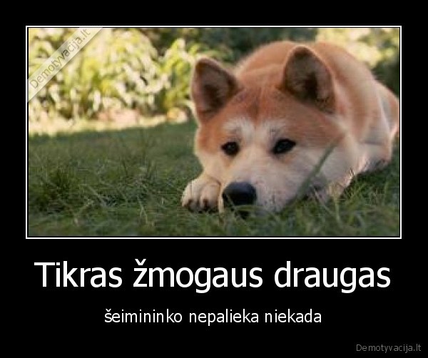 Tikras žmogaus draugas
