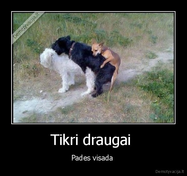 Tikri draugai 