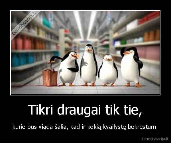 draugai,kvailyste,salia