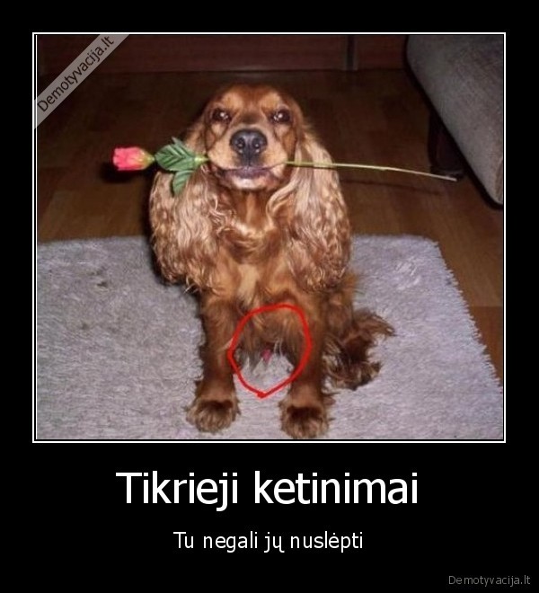 Tikrieji ketinimai