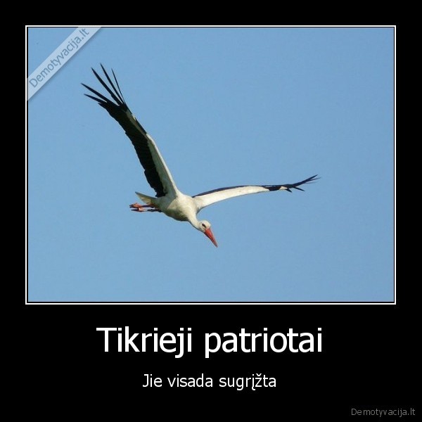 Tikrieji patriotai