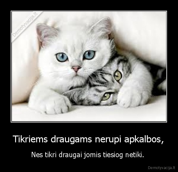draugai., gyvenimas., tikrumas., apkalbos