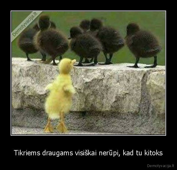 Tikriems draugams visiškai nerūpi, kad tu kitoks