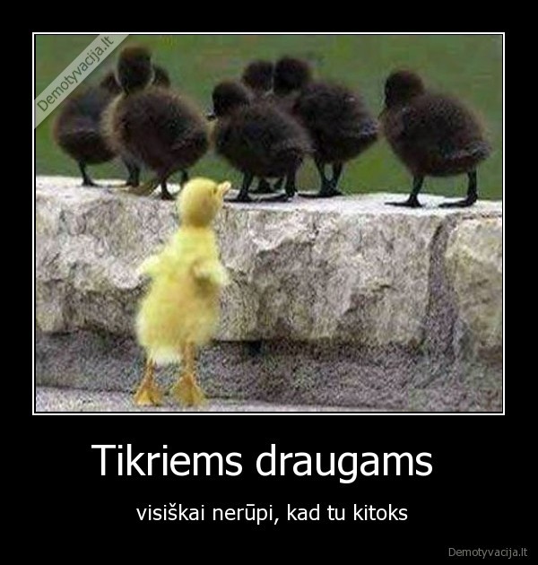 Tikriems draugams 